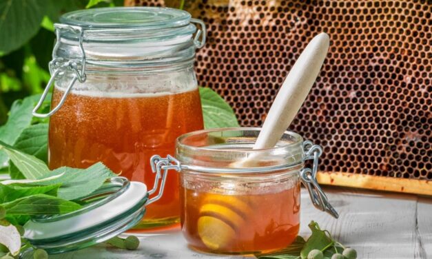 Sai quando il miele guarisce le ferite?