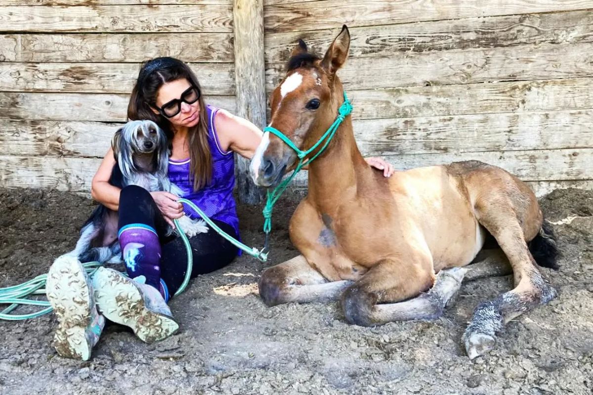 terapia ormonale effetti collaterali