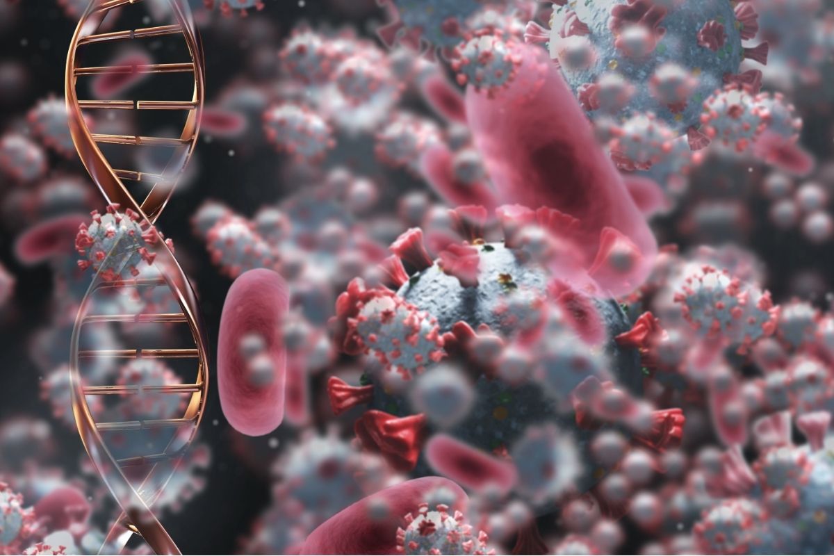 ultime scoperte sul cancro