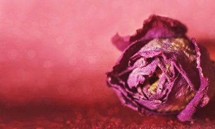 Atrofia vulvare da terapie oncologiche: quali rimedi